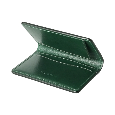 2025 SADDLE PULL UP / ADLER(GREEN)