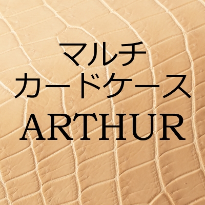 �y�󒍐��Y�z2026 POROSUS / ARTHUR