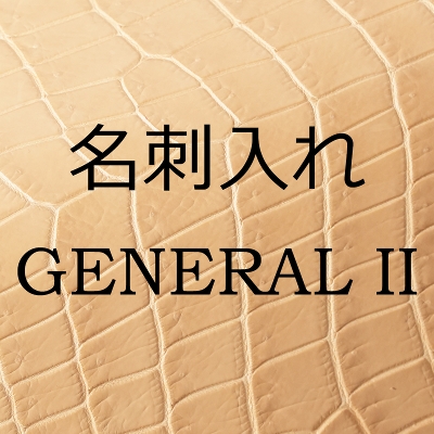 �y�󒍐��Y�z2026 POROSUS / GENERAL II