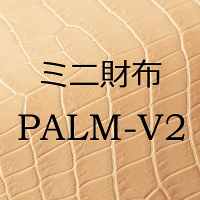 �y�󒍐��Y�z2026 POROSUS / PALM-V2