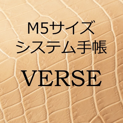 �y�󒍐��Y�z2026 POROSUS / VERSE