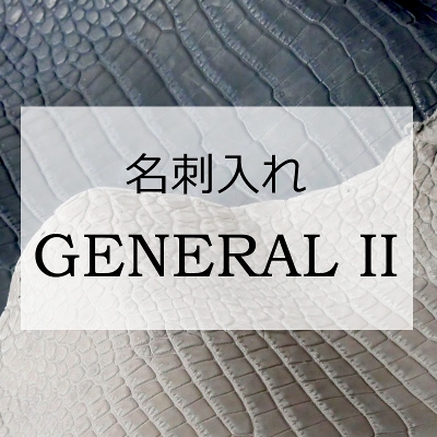 �y���Ԍ���󒍉�zOILED POROSUS / GENERAL II