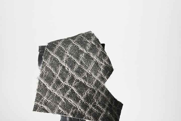 2024WILDSWANS EXOTIC LEATHER FAIR 1(墨染エレファント編